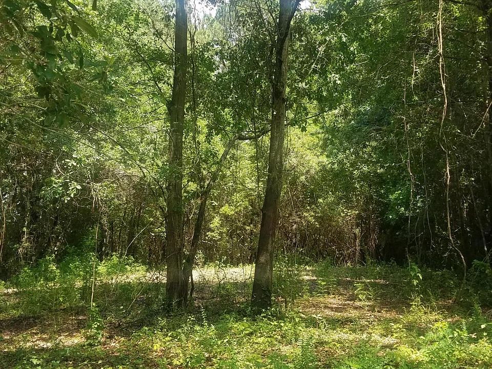 2nd image of 1529 Theresa Dr