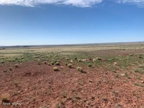 Raw Land 208 14 3, Saint Johns, AZ 85936