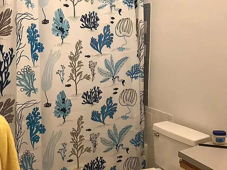 833 Beacon St #104D — Photo 6