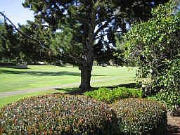 6th Fairway!