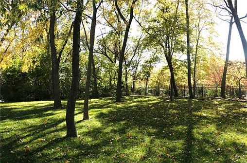 Check Out this Backyard!