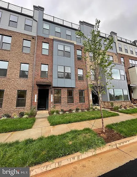 3 bed, 2.5 bath, 1576 sqft, $3,199 — Photo 2