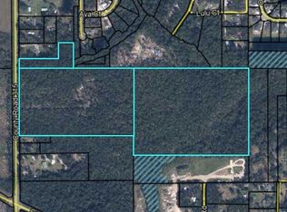 3771 COUNTY ROAD 315, Green Cove Springs, FL 32043