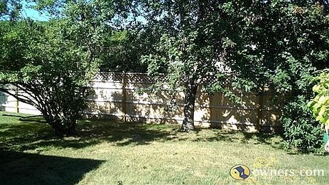 New fenced back yard