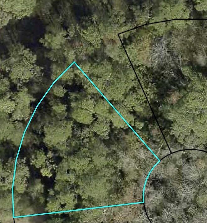 1st image of Z Section