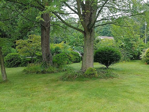 side view- front of property