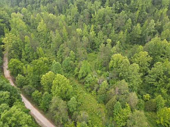 4th image of 9991 Big Wildcat Rd