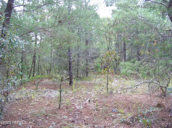 0 GROVE Street, Welaka, FL 32193