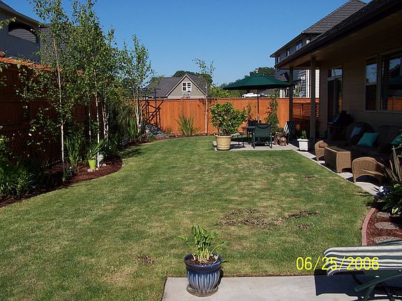Backyard Area