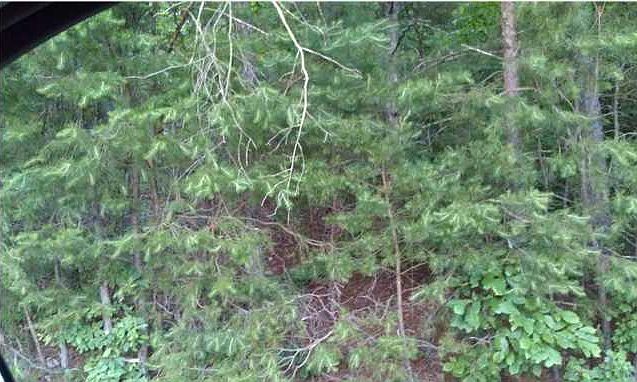 2nd image of 4881 Cohutta Varnell Rd