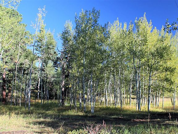 2nd image of County Road 182