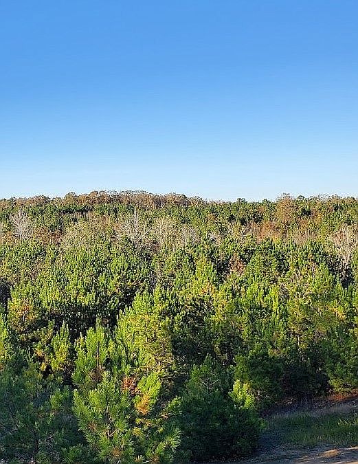 2nd image of 1082 Howard Coogler Rd