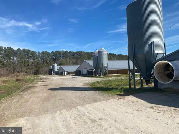 28586 Mount Vernon Rd, Princess Anne, MD 21853