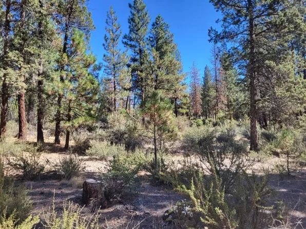 LOT 121 Sleepy Hollow Rd, Dorris, CA 96023
