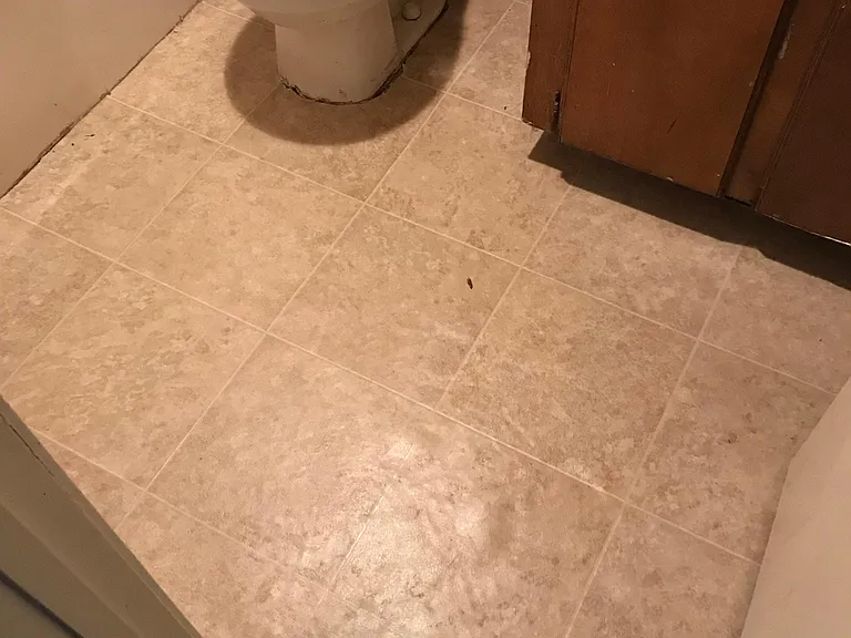 Hallway bathroom #1