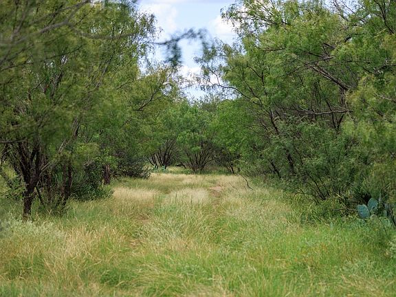 5th image of 0 Ranch Road 648