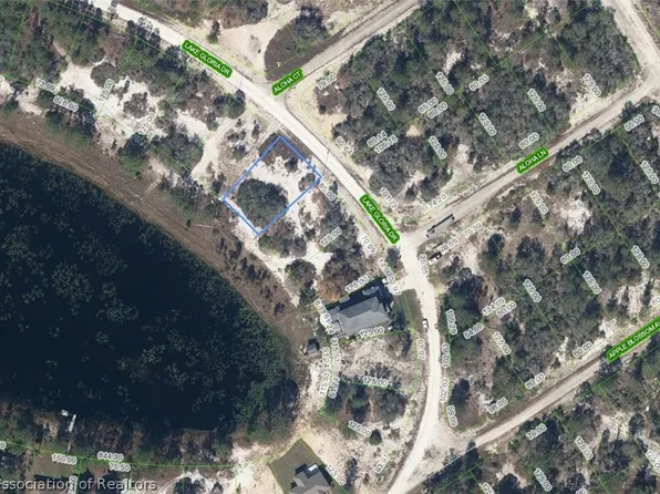 454 Lake Gloria Dr, Lake Placid, FL 33852