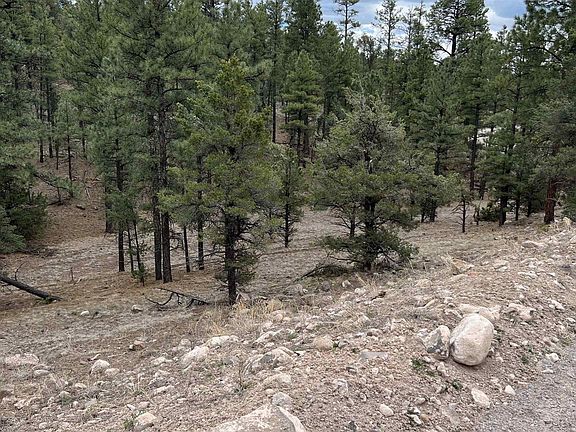 3rd image of 184 El Caso Rd