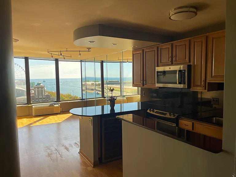 505 N Lake Shore Dr #1005 — Photo 20