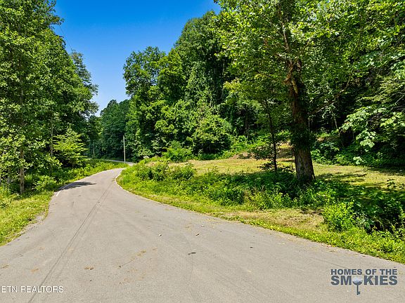 2nd image of LOT 1 Carrs Creek Rd
