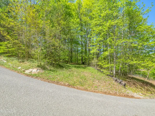 51 S Shorewood Dr Lot 51, Caryville, TN 37714