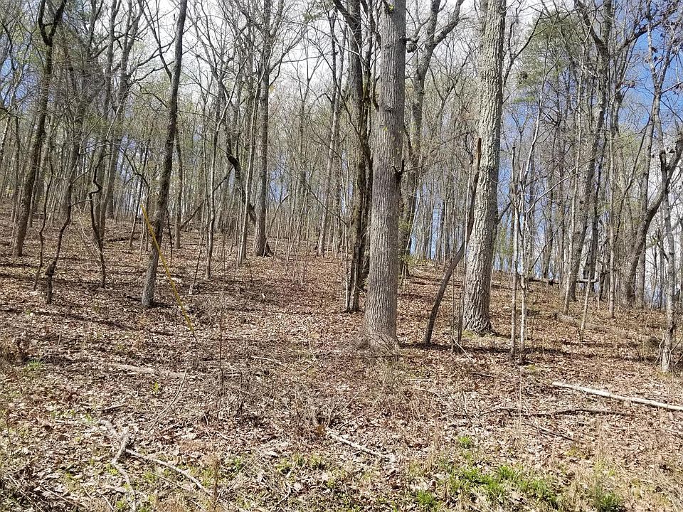 1st image of Spruce Willow & Maple
