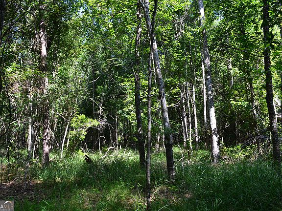 3rd image of Bishop Canoochee Rd