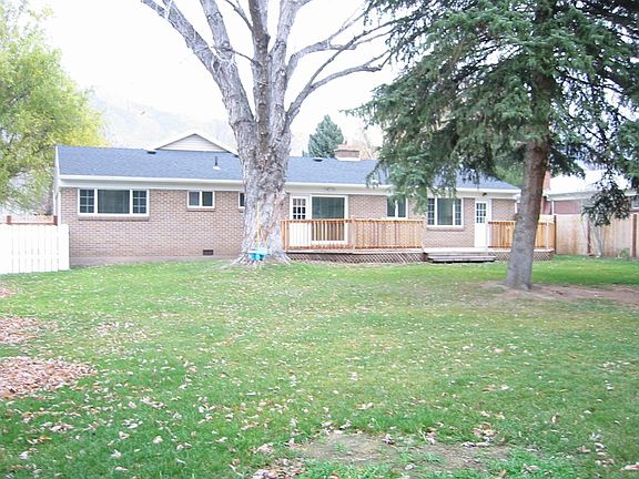 Great backyard - huge shade trees