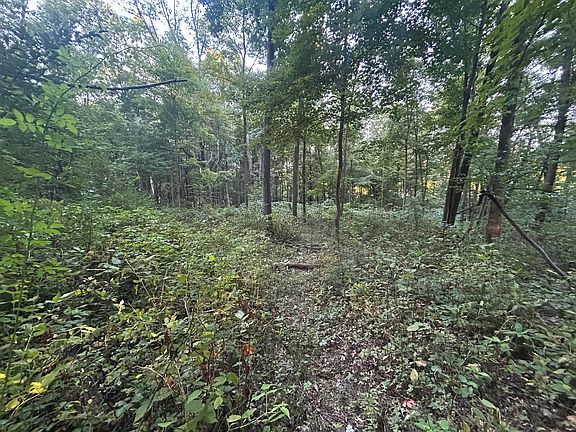 4th image of 11500 Goose Lake Rd
