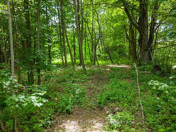 5th image of 154 Bowles Bluff Rd