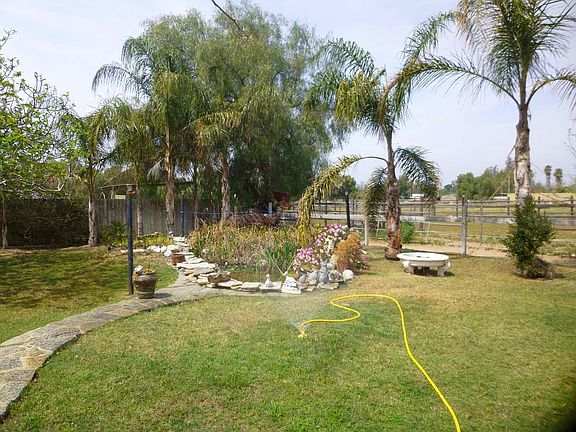Pond, Palms, Fruit Trees