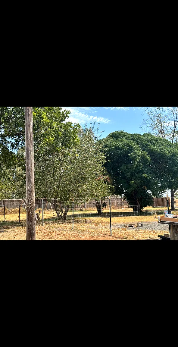 3 bed, 1500 sqft, $1,900 — Photo 1