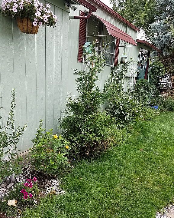 2nd image of 1207 Jasper St