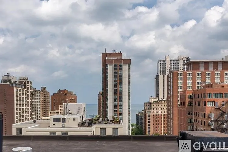 1340 N Dearborn St #5F — Photo 19
