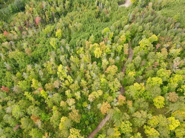 3 Grundy Rd, Tomahawk, WI 54487