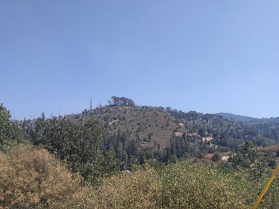 5th image of 29549 Pineridge Dr