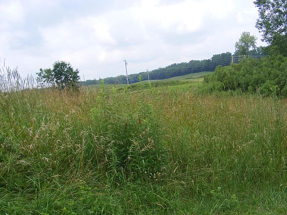 2nd image of 0 County Road 50