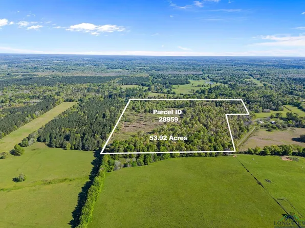 County Road 163, Long Branch, TX 75669