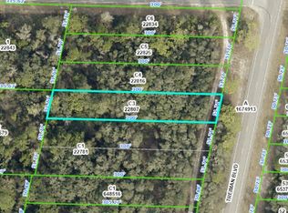 Treiman Boulevard Lot #3, Webster, FL 33597