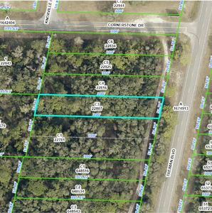 Treiman Boulevard Lot #3, Webster, FL, 33597