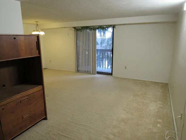 27614 Evergreen Run #14 — Photo 2