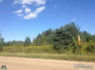 0 Cribbins, Croswell, MI 48422