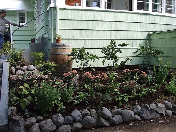 Landscaping