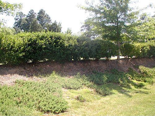 Landscaped private back yard