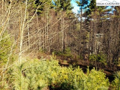 Lot 7 Echo Run, Blowing Rock, NC, 28605