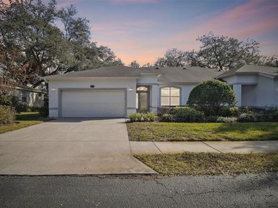 8529 Alexandra Arbor Ln, Temple Terrace, FL, 33637