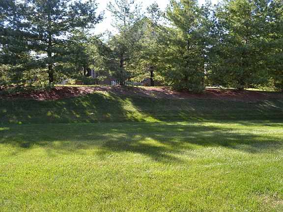 Back Yard View
