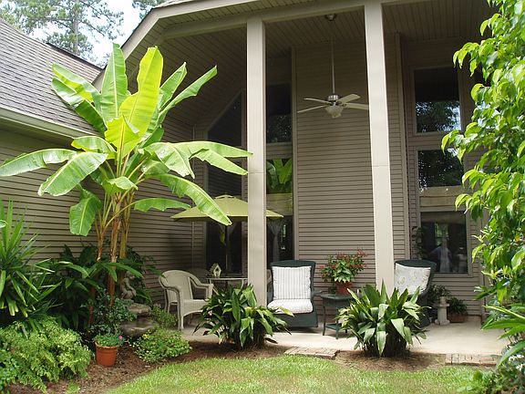 Back Patio