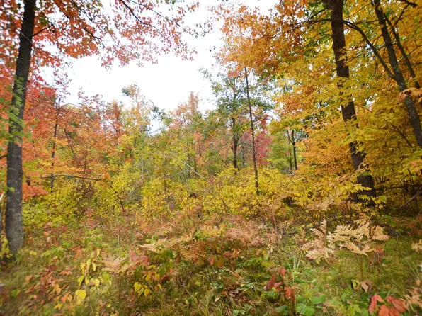 Enders Rd, Sandstone, MN 55072