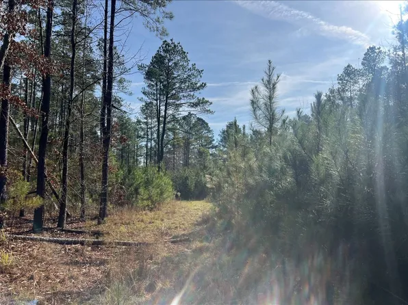 0 Livingston Rd, New Edinburg, AR 71660